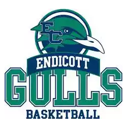 Đội bóng chày Endicott Gulls