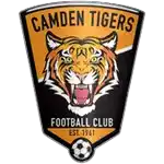 Camden Tigers FC