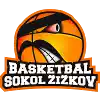 Sokol Zizkov