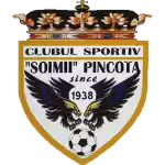 CS Soimii Pancota