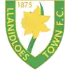 Llanidloes Town