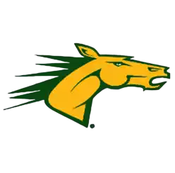 Suny Delhi Broncos (Women)