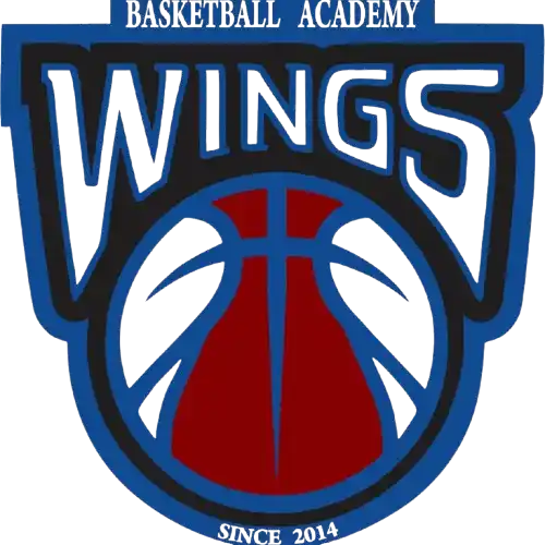 Уингс Тбилиси