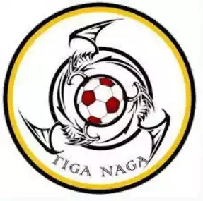 Tiga Naga
