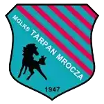 Tarpan Mrocza