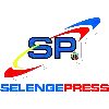 SP Falcons