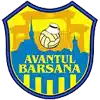 Авантул Барсана