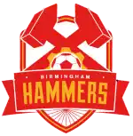 Birmingham Hammers