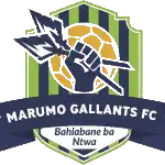 Marumo Gallants