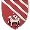 Đội bóng đá Droylsden