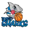Pallacanestro Roseto