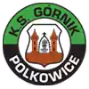 Gornik Polkowice