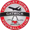 Crawley Down Gatwick FC