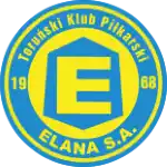 Elana Torun
