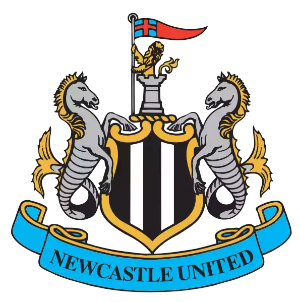 Newcastle United (Torres_2002)