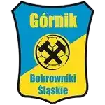 Гурник Бобровники Силезские