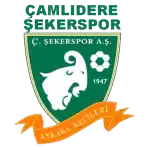 C. Sekerspor