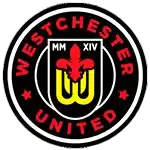 Westchester United Viareggio Team