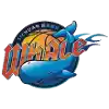 Sichuan Blue Whales U21