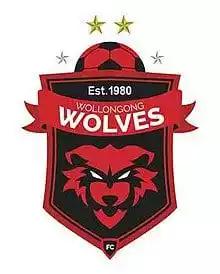 Wollongong Wolves
