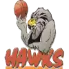 Hawke's Bay Hawks