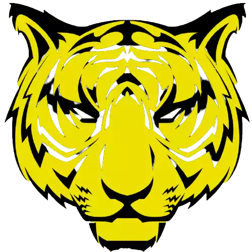 Toronto Tigers