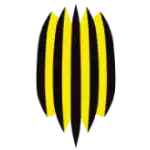 FC Rukh LVIV Đội Viareggio