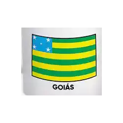 Brazil. Goiano U20