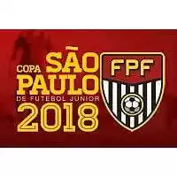 Copa Sao Paulo de Futebol Junior U14