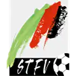 Steiermark, Landesliga