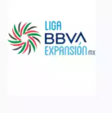 Liga de Expansion Mx, Apertura