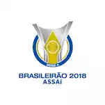 Championship Brazil U17