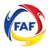 Copa Constitucio