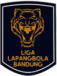 Indonesia. Liga Lapangbola