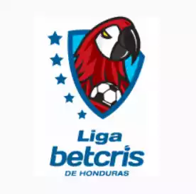 Liga Nacional, Apertura