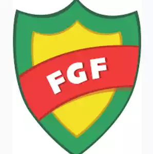 Brazil. Liga Gaucho. Women