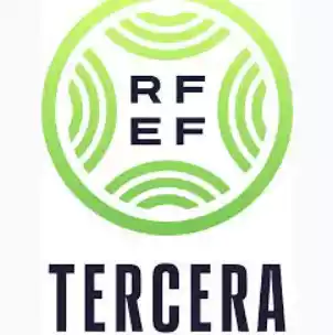 Tercera Federacion, Group 14