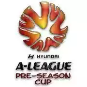 Pre-Season Cup