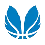 Liga Femenina