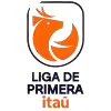 Primera Division