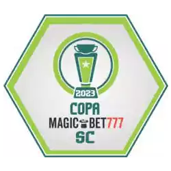 Copa Santa Catarina