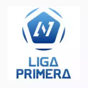 Primera Division