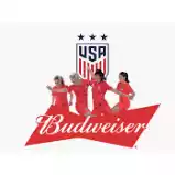USA. Budweiser Soccer League